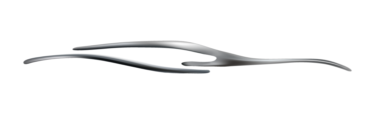 Protection Auto Detailing Logo